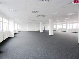 Büro 350 m2 südlich von Wien in Wr. Neudorf, 5590 €, Immobilien-Gewerbeobjekte in 2351 Gemeinde Wiener Neudorf