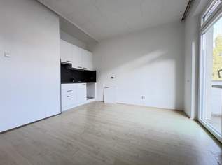 1 Zimmer Wohnung mit neuer Küche und schönem Balkon, 599.8 €, Immobilien-Wohnungen in Oberösterreich 1 Zimmer Wohnung mit neuer Küche und schönem Balkon, 599.8 €, Immobilien-Wohnungen in Oberösterreich