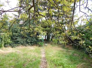 Traumhaftes Baugrundstück für Ihr Eigenheim in Brunn am Gebirge mit Baugenehmigung, 420000 €, Immobilien-Grund und Boden in 2345 Brunn am Gebirge