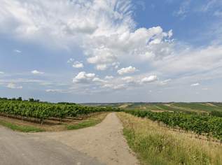 Landwirtschaftliche Grundstücke mit insgesamt 6.003 m² in Hadres !, 14700 €, Immobilien-Grund und Boden in 2061 Gemeinde Hadres