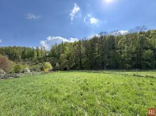 Sonniges und ebenes Baugrundstück in Klosterneuburg-Weidling, 790000 €, Immobilien-Grund und Boden in 3400 Gemeinde Klosterneuburg