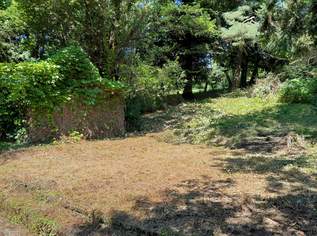 Großzügiges Baugrundstück mit Abbruchhaus und Grünlandanteil im Irenental, 390000 €, Immobilien-Grund und Boden in Niederösterreich