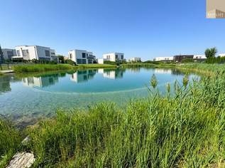 Ihr neues Zuhause mit privatem Seezugang in Oberwaltersdorf, 595000 €, Immobilien-Häuser in 2522 Gemeinde Oberwaltersdorf Ihr neues Zuhause mit privatem Seezugang in Oberwaltersdorf, 595000 €, Immobilien-Häuser in 2522 Gemeinde Oberwaltersdorf