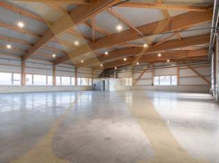 Neuwertige & beheizte Lager- oder Gewerbehalle mit Rolltor in Arbing (Bezirk Perg) zu vermieten!, 3969.63 €, Immobilien-Gewerbeobjekte in 4320 Perg