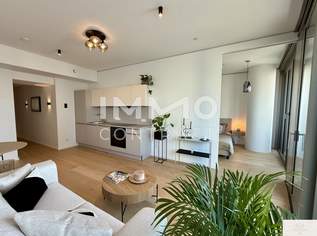 TOP möblierter Erstbezug mit Donau- und Cityblick, Gym, Spa, Pool, Lounges, uvm im Turm (NEW), 1557.11 €, Immobilien-Wohnungen in 1220 Donaustadt