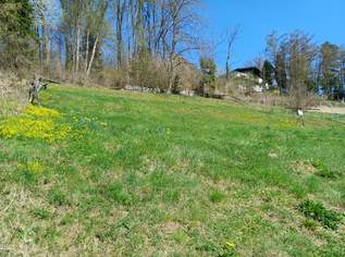 Sonnige Hanglage mit schönem Gebirgs- und Fernblick!, 139000 €, Immobilien-Grund und Boden in 4663 Laakirchen