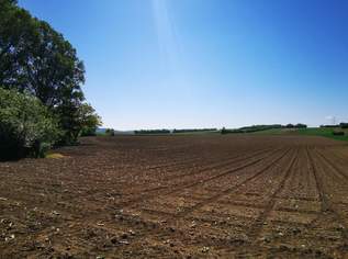 Ortsrandlage mit herrlichem Fernblick: eben, sonnig & ruhig, 470000 €, Immobilien-Grund und Boden in 2111 Tresdorf