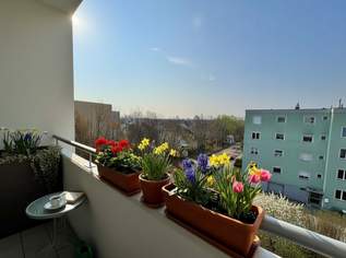 Wohnen im Grünen und bestens angebunden an Wien | GRÜNBLICK in den ruhigen Innenhof | Süd-West-Loggia | inkl. Stellplatz, 329000 €, Immobilien-Wohnungen in 2353 Gemeinde Guntramsdorf