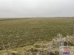 Beste Äcker, 0 €, Immobilien-Grund und Boden in 2472 Gemeinde Prellenkirchen Beste Äcker, 0 €, Immobilien-Grund und Boden in 2472 Gemeinde Prellenkirchen