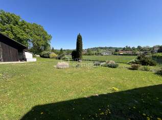 1800qm Baugrund + 2300qm Landwirtschaftlicher Nutzgrund, 399000 €, Immobilien-Grund und Boden in 4611 Buchkirchen 1800qm Baugrund + 2300qm Landwirtschaftlicher Nutzgrund, 399000 €, Immobilien-Grund und Boden in 4611 Buchkirchen