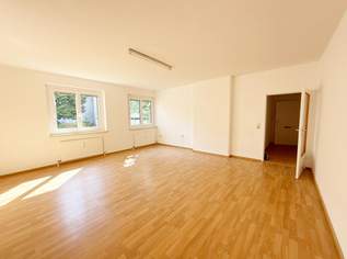 Schnuckelige 1 Zi.- Wohnung im Zentrum von Wels, 492.8 €, Immobilien-Wohnungen in 4600 Wels