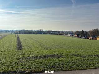 Eigentumswohnung mit Loggia in wunderschöner, ruhiger Aussichtslage nahe Lindetwald, 115000 €, Immobilien-Wohnungen in 4975 Suben Eigentumswohnung mit Loggia in wunderschöner, ruhiger Aussichtslage nahe Lindetwald, 115000 €, Immobilien-Wohnungen in 4975 Suben
