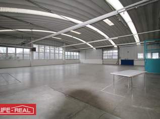 Vielseitiges Gewerbeareal mit Hallen, Büros und Außenflächen in Top-Lage – Taufkirchen/Trattnach, 9560 €, Immobilien-Gewerbeobjekte in 4715 Taufkirchen an der Trattnach Vielseitiges Gewerbeareal mit Hallen, Büros und Außenflächen in Top-Lage – Taufkirchen/Trattnach, 9560 €, Immobilien-Gewerbeobjekte in 4715 Taufkirchen an der Trattnach