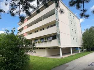 Maria Enzersdorf bei Mödling - Schöne 3 Zimmer Wohnung mit Loggia und Blick ins Grüne!, 1237.24 €, Immobilien-Wohnungen in 2344 Gemeinde Maria Enzersdorf