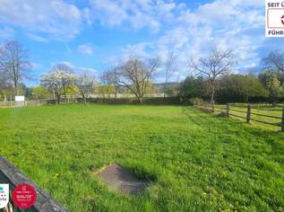 🌳 Ihr Rückzugsort mit Zukunft: Baugrundstück in Ternitz 🏡, 239000 €, Immobilien-Grund und Boden in 2630 Gemeinde Ternitz