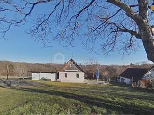 Saniertes ehemaliges Kellerstöckl - Ferienhaus - Tinyhaus mit großem Weingarten, 145000 €, Immobilien-Häuser in 7561 Heiligenkreuz im Lafnitztal