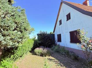 Oggau am Neusiedler See: Traumgarten in ruhiger Siedlungslage mit saniertem Einfamilienhaus!, 300000 €, Immobilien-Häuser in 7063 Oggau am Neusiedler See Oggau am Neusiedler See: Traumgarten in ruhiger Siedlungslage mit saniertem Einfamilienhaus!, 300000 €, Immobilien-Häuser in 7063 Oggau am Neusiedler See