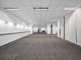 211m² Geschäftslokal/Büro-Lager Kombination mit ebenerdiger Zufahrt | Ladezone direkt vorm Lokal, 2652.55 €, Immobilien-Gewerbeobjekte in 2351 Gemeinde Wiener Neudorf