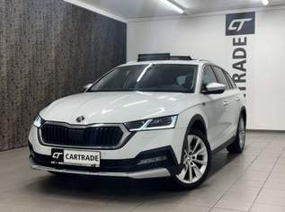 Octavia 2.0 TDI DPF Scout 4x4, 26990 €, Auto & Fahrrad-Autos in Kärnten Octavia 2.0 TDI DPF Scout 4x4, 26990 €, Auto & Fahrrad-Autos in Kärnten