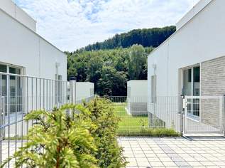 Freundschaften fürs Leben! - Haus Typ 1 / 10 Doppelhaushälften, 770000 €, Immobilien-Häuser in 3400 Gemeinde Klosterneuburg