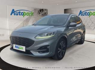 Kuga ST-Line Plug-In Hybrid 225 PS, 26990 €, Auto & Fahrrad-Autos in 6405 Gemeinde Pfaffenhofen Kuga ST-Line Plug-In Hybrid 225 PS, 26990 €, Auto & Fahrrad-Autos in 6405 Gemeinde Pfaffenhofen