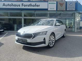 Octavia Selection TSI mHEV DSG, 35290 €, Auto & Fahrrad-Autos in 5112 Lamprechtshausen