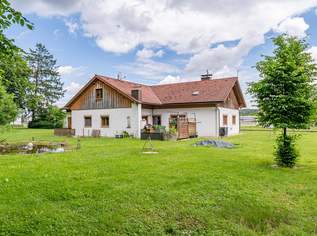 Charmanter Bungalow am Siedlungsrand mit 3.793 m² großem Grund und Ausbaupotenzial, 299000 €, Immobilien-Häuser in 4523 Neuzeug