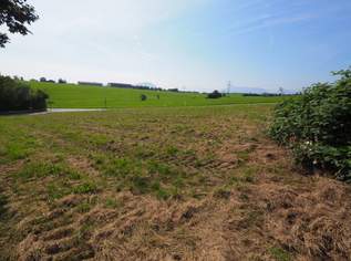 Traumhaftes Baugrundstück in Seekirchen-Mödlham Sonnige Lage für Ihr zukünftiges Zuhause, 599000 €, Immobilien-Grund und Boden in 5201 Seekirchen am Wallersee
