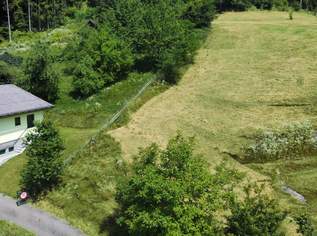 Sonniger Baugrund am Waldrand, 70000 €, Immobilien-Grund und Boden in 9560 Feldkirchen in Kärnten