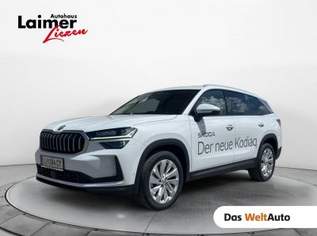 Kodiaq 4x4 Selection TDI DSG Kodiaq 4x4 Selection TDI DSG