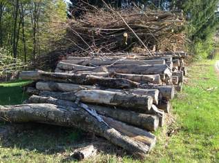 Brennholz HART zu verkaufen, 55 €, Haus, Bau, Garten-Hausbau & Werkzeug in 8301 Laßnitzhöhe