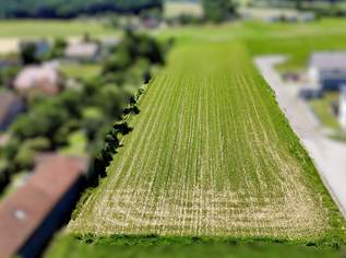 ***Vom Traum zum Eigenheim! Sonniges Baugrundstück in Kirchstetten***, 119000 €, Immobilien-Grund und Boden in 3062 Katastralgemeinde Kirchstetten