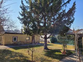 Baugrundstück mit Altbestand in Perchtoldsdorf, 510000 €, Immobilien-Grund und Boden in 2380 Gemeinde Perchtoldsdorf Baugrundstück mit Altbestand in Perchtoldsdorf, 510000 €, Immobilien-Grund und Boden in 2380 Gemeinde Perchtoldsdorf