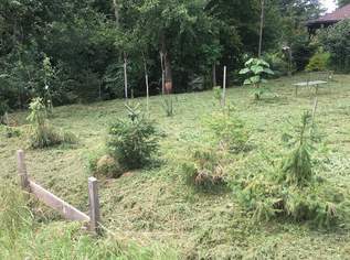 Leben im Grünen am ruhigen Waldrand!, 50 €, Immobilien-Grund und Boden in 8264 Lichtenwald