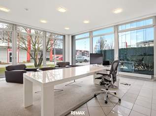 Repräsentative Bürofläche 250 m2 * 9,60/m2 *2 Monate Miete kostenlos*, 3016.68 €, Immobilien-Gewerbeobjekte in 4310 Mauthausen