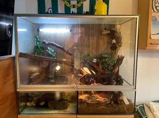 Terrarium 119 x 52,5 x 100cm., 230 €, Marktplatz-Tiere & Tierbedarf in 3500 Krems an der Donau Terrarium 119 x 52,5 x 100cm., 230 €, Marktplatz-Tiere & Tierbedarf in 3500 Krems an der Donau