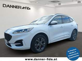 Kuga 120PS Diesel 2,0 AWD ST-Line (BLACK DANNER WEEK..., 26000 €, Auto & Fahrrad-Autos in 4707 Schlüßlberg