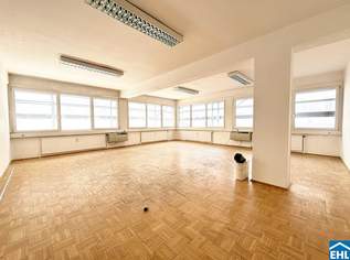 Laurenzi am Fluss, 890000 €, Immobilien-Gewerbeobjekte in 1010 Innere Stadt