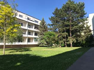 Helle 3 Zimmerwohnung in Grünruhelage mit Loggia, 950 €, Immobilien-Wohnungen in 1110 Simmering