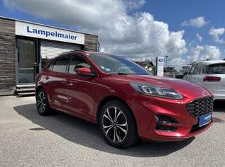 Kuga ST-Line X PHEV, 21900 €, Auto & Fahrrad-Autos in 5163 Mattsee