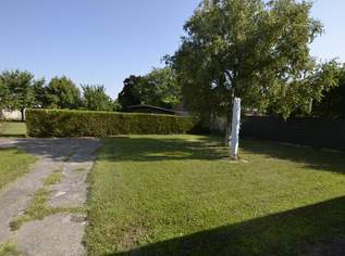 Jahrelang Grundstück suchen oder jetzt entscheiden!, 155000 €, Immobilien-Grund und Boden in 2442 Katastralgemeinde Unterwaltersdorf