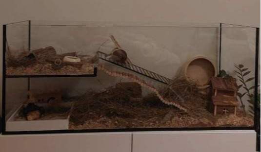 Nagerarium Nagerarium