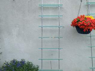Glas -Regale Glas -Regale