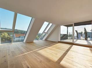 Penthouse mit Blick in die Weinberge, 1990000 €, Immobilien-Wohnungen in 1190 Döbling