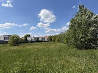 Attraktive Baugrundstücke mit bester Verkehrsanbindung, 275870 €, Immobilien-Grund und Boden in 7100 Gemeinde Neusiedl am See Attraktive Baugrundstücke mit bester Verkehrsanbindung, 275870 €, Immobilien-Grund und Boden in 7100 Gemeinde Neusiedl am See