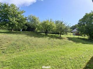Sonniger Baugrund in Eugendorf, 445000 €, Immobilien-Grund und Boden in 5301 Eugendorf Sonniger Baugrund in Eugendorf, 445000 €, Immobilien-Grund und Boden in 5301 Eugendorf