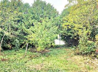 BAUGRUND, 235000 €, Immobilien-Grund und Boden in 7122 Gols