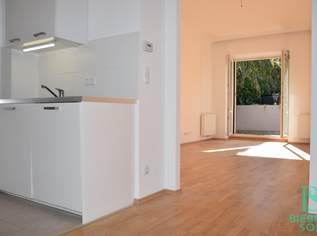 Mitten im 5.! Westterrasse - Top renovierte, große, sonnige Wohnung - Ruhelage, 1302.06 €, Immobilien-Wohnungen in 1050 Margareten