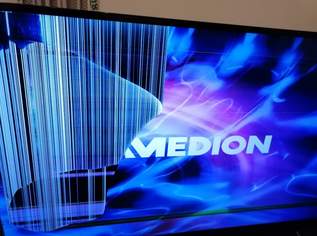 Medion MD31355AT 55'' 139cm, 0 €, Marktplatz-Kameras & TV & Multimedia in 1080 Josefstadt