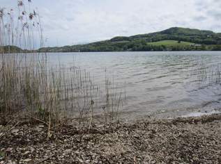 Neuwertige 2-Zimmer-Wohnung mit traumhaftem Seeblick & Seezugang in Seeham, 1162 €, Immobilien-Wohnungen in 5164 Seeham